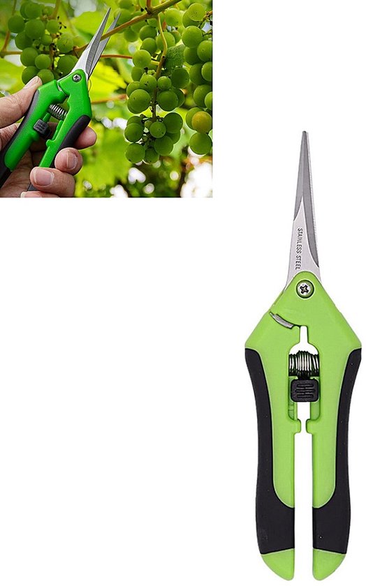 1 stuk tuinschaar - recht blad voor nauwkeurig snoeien - plantenschaar - bloemen- en bonsaischaar - 50*45*167mm - geschikt voor tuinieren en het snoeien van planten en bloemen - groen.