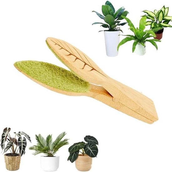 1 x Reinigingsborsteltjes rager - Bodemreinigers - Handmatige Groene Planten Borstel - met Ergonomisch Handvat - voor binnen、 buitentuinen(24 x 4cm) van Merkloos	