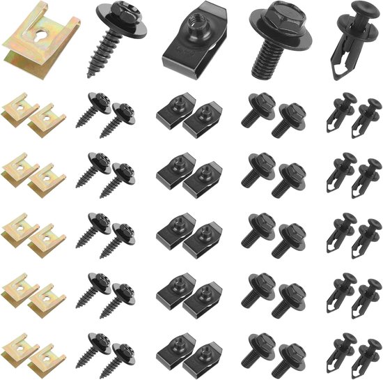 100 stuks plaatmoeren - schroefmoerclipset - universele carrosserieschroeven - metalen bevestigingsclips kit voor autobumper - ondertray - spatborden - deurbekleding van Merkloos	