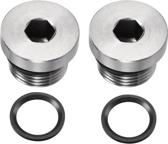 2 stuks M18 x 1,5 roestvrij stalen buisplug - interne zeskantkop socket pijpfitting - Pijp accessoires - eindpijpuiteinden - zilver