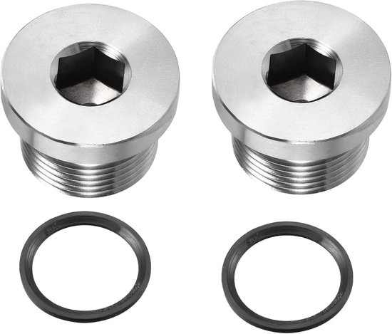 2 stuks M22 x 1,5 roestvrij stalen buisplug - interne zeskantkop socket pijpfitting - Pijp accessoires - geweldig voor eindpijpuiteinden (zilver) van Merkloos	