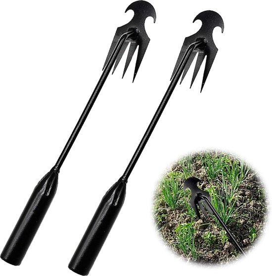 2 stuks roestvrijstalen onkruidstekers, tuingereedschap, handmatige onkruidjager, onkruidjager met lange steel, tuinschep, tuingereedschap voor het verwijderen van onkruid van Merkloos	