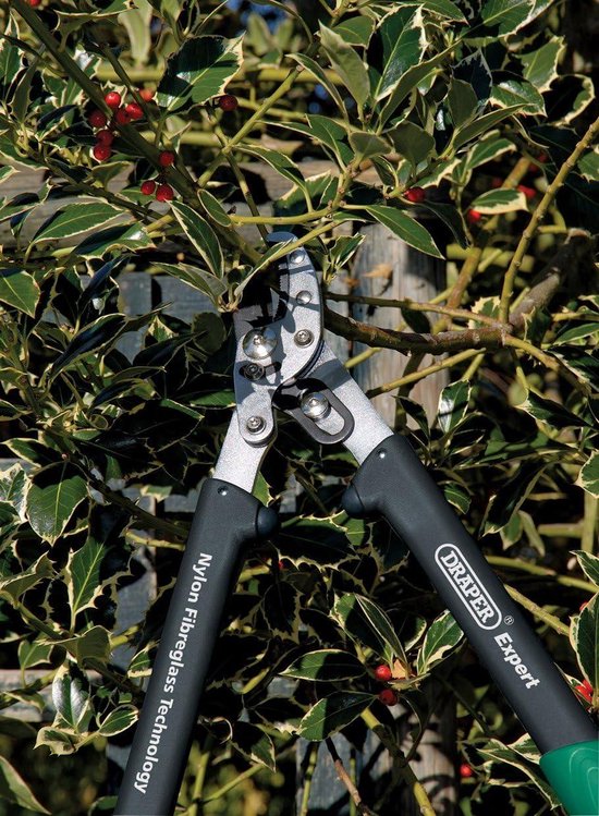 230 mm rechthoekige tuinschaar met glasvezel handgrepen - Anvil-Patroon Loppers 530 mm 530 mm van Silverline