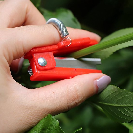 3-delige duimschaarset voor het plukken van fruit en groenten. Oogstgereedschap in rood en groen.