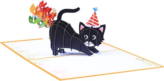 3D Verjaardagskaart - Stereo Grappige Regenboog Scheet Glanzende Kwunsketch Kaart met Zwarte Kat - Grappige Gelukkige Verjaardag Kaart - Geschikt voor Cadeau Geven aan Mannen en Vrouwen van Merkloos	