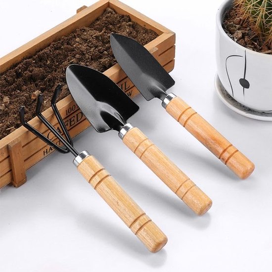 3stuks - Klein tuingereedschap - Mini tuingereedschapset - Inclusief een kleine schep, mini spade en handhark - Gemaakt van roestbestendig ijzer en massief hout - Geschikt voor tuinieren binnenshuis - Geschikt voor vetplanten, bonsai - Zwart van Merkloos	