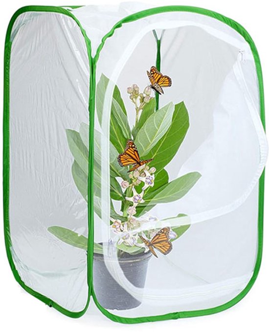 40x40x60cm - Opvouwbare insectenkooi - Transparante insectenkooi - Rupsencoconhabitat - Gemakkelijk te observeren - Opvouwbaar ontwerp - Wit en groen van Merkloos	