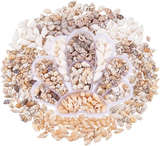 460pcs Decoratieve Schelpen - Kleine 6 Stijlen - Natuurlijke Spiraal - 7~20mm - Mini Schel voor Hars - Thuisdecoratie - DIY Sieraden - Ambachten van Merkloos	