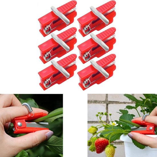 6 stuks - tuinmes - Tuinduimsnijder - Multifunctioneel tuinmes - Multifunctionele vingerfruitplukker - Fruitplukmes - Beschermt de vinger - Efficiënt plukken - Sterk en duurzaam - Rood - Voor tuiniers van Verhagen9600