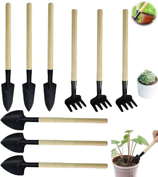 9 stuks - Mini tuingereedschap - Draagbare handgereedschapset voor de tuin - Mini tuinhark, schep en spade - Handgereedschap met Houten Handvatten - Geschikt voor zaailingen, bonsai, vetplanten, kruiden, glazen potten en planten van Merkloos	