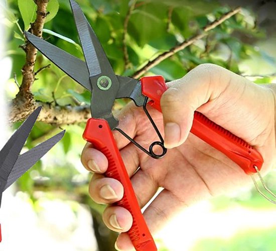 Actie4you® - Snoeischaar – Plantenschaar – Snoeitang – Rozenschaar – Bloemenschaar – Universeel – Rood van Actie4you