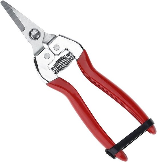 Allecto Plus - Multifunctionele tuinschaar voor fruitbomen, bonsai, bloemen en druiven van Merkloos	