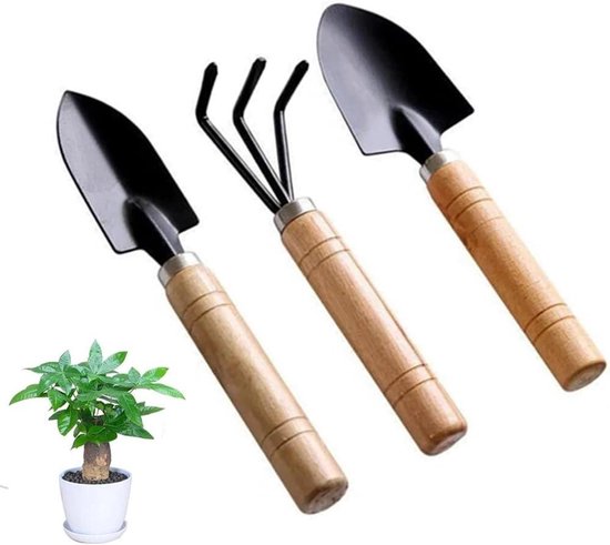 Allecto plus – Tuingereedschapsset 3 stuks voor potplanten en bonsai-gereedschap van Allecto Plus