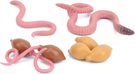 Animal Life Cycle - 4 STKS - Engroei Model Beeldjes - Educatief Speelgoed - Desktopdecoratie - Feestartikelen - Benodigdheden - Voor Kinderen 4 en ouder van Merkloos	