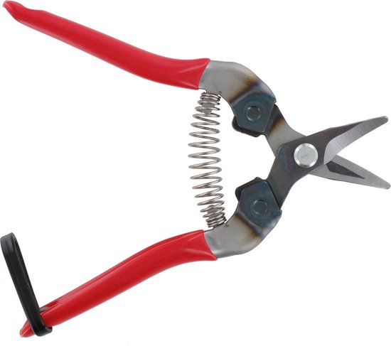 ARS 310 D Hoge kwaliteit Japanse snoeischaar Professionele, lichtgewicht en vooral ergonomische Japanse snoeischaar Snoeischaar van 16cm, extra gebogen, rood oogstschaar, kruidenschaar, snoeischaar voor bloemen, planten en kruiden van ARS