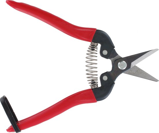 ARS Fruitschaar met Antislip Handgreep - Rood - Rechte Bek - 17 cm van ARS