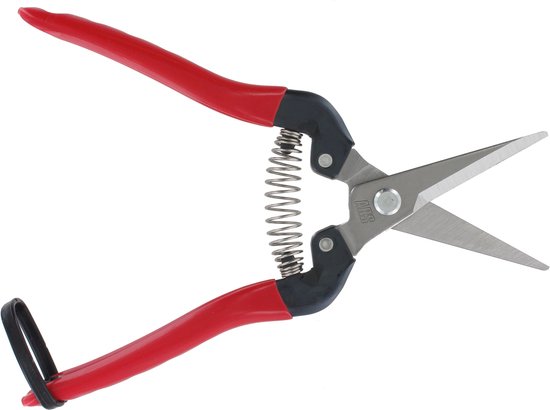 ARS Oogstschaar - Recht - Roestvrij Staal - 190 mm - Rood van ARS