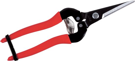 ARS300LR - Fruitschaar 19cm, recht, rood van ARS