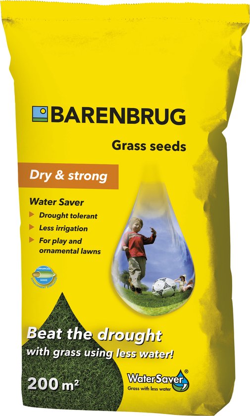 Barenbrug Water Saver (Dry & Strong) - met coating – minimale maaihoogte: 30-40 mm – een wapen tegen de droogte – bevat de Green Earth label – bespaard op water en kosten – wortelt erg diep – goede betredingstolerantie van Barenbrug