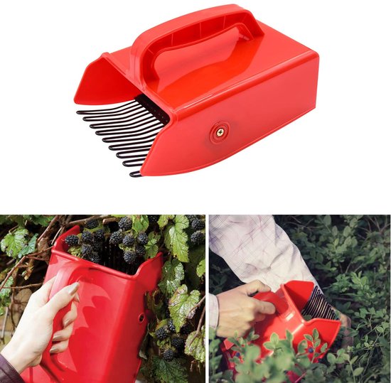 Bessenplukker - Blauwe bessenplukker - Fruitplukker - Met metalen kam en handvat - Gereedschap voor gemakkelijker bessen plukken - Geschikt voor het plukken van blauwe bessen en bosbessen - Rood van AVIWIS