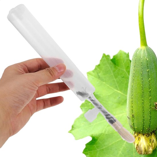 Bestuiving Pen - Professioneel Plantaardige Bestuiver Hulpmiddel - Praktisch Efficiënt - Voor De Bestuiving Van Bloemen Bestuivingstool - Aanbod Handmatige Bestuiver - tuin - Tuingereedschap - Voor Verschillende planten van Merkloos	