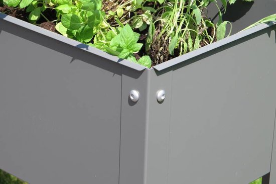 Bio Green Metalen verhoogd bed Freising, maat XL van Merkloos	