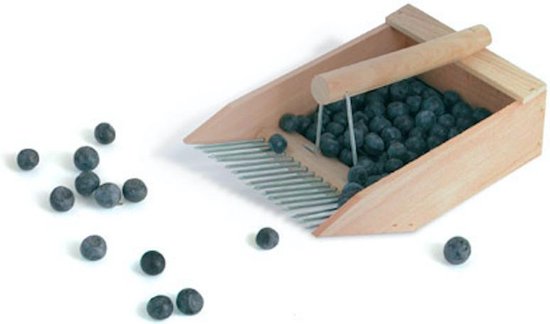 Blauwe bosbessenplukker van FoodPlus