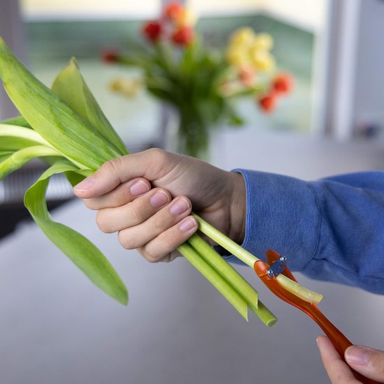 Bloemensnijder en Bloemenverzorging - Tuinaccessoires in Oranje