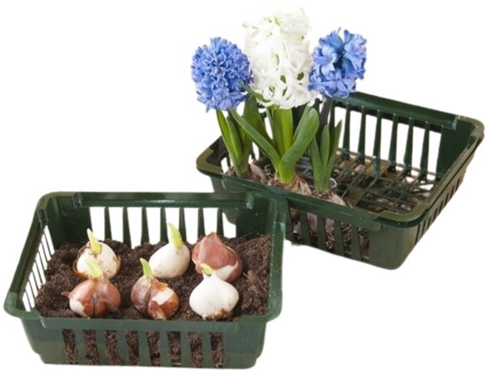 Bollenplantmand H7,5x25x21cm set a 3 stuks