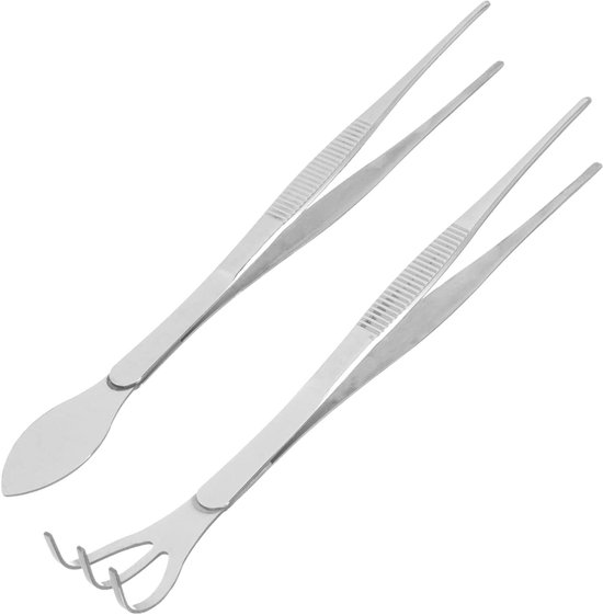 Bonsai Gereedschap Set - Bonsai Pincet Hark - Planten Onderhoud - Roestvrij Staal - 22 cm - Zilver
