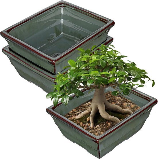 Bonsai potten set van 2 - keramisch - met drainagegaten - geschikt voor Japanse bonsai - SnelShoppen