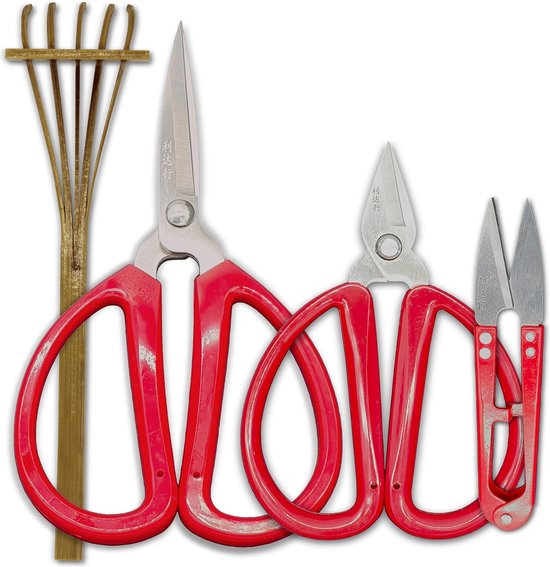 Bonsai Precision Schaar Kit - Snoeien, Bonsai Snoeien, Precisie Knippen en Kleine Takken en Wortels, Bamboe Rakè - Set van 4 van TinyGreen