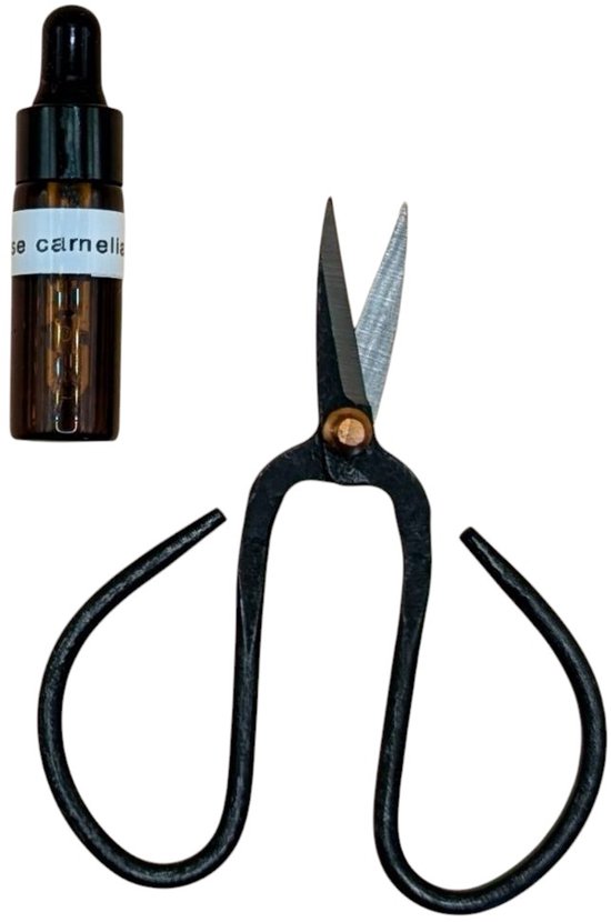 Bonsai schaar 'Precies' – Zwarte Bloemenschaar – Snoeischaar voor Bloemen en Planten Trimmen van Huismerk.