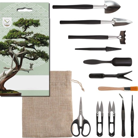 Bonsai Starters Kit - Boompje Inclusief Gereedschap - Schaar - Zaden - Schepjes