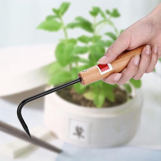 Bonsai Wortelhaak - Tuingereedschap - Wortels Ontvouwen - Robuust Ijzer Beuken - 22 cm - N.v.t.