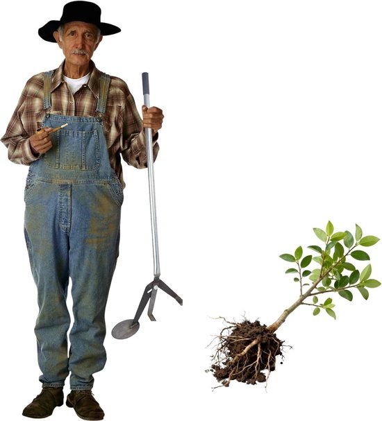Boomtrekkergereedschap - Wortelverwijderaar Onkruid - Onkruid Verwijderen - Hefboomontwerp - 103 cm - Zwart