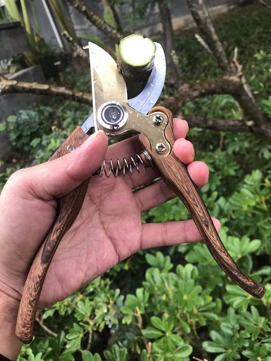 Boraboi® Professionele Tuinschaar met Japans SK4-staal voor Precisie en bij Tuinieren van Boraboi