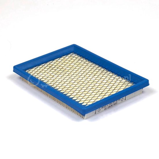 Briggs & Stratton Luchtfilter 397795S van Briggs & Stratton