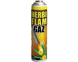 BSI - Herbiflam Gaz - Gasfles voor Herbiflam onkruidbrander - 600 ml van Merkloos	