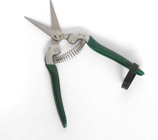Burgon & Ball - bloemen- en fruitschaar - groen - 18,8cm van Burgon & Ball