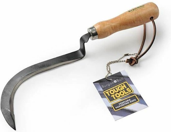 Burgon & Ball Groentesikkel - Tuinmes - Koolstofstaal - Oogsten van bloemkool en meer van Burgon & Ball