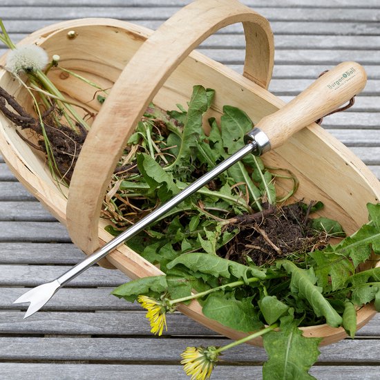 Burgon & Ball RHS Onkruidsteker - verlengd - gemakkelijk onkruid verwijderen - gemaakt met een ergonomisch handvat - FSC en RHS gecertificeerd - gemaakt van topkwaliteit staal - gemaakt van roesbestendig koolstofstaal van Burgon & Ball