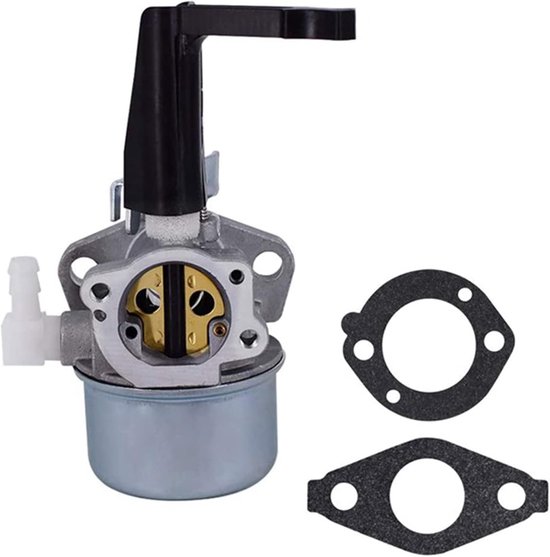 Carburateur - 696065 697422 - met montagepakkingset - geschikt voor Briggs & Stratton 110402 110412 215369 5 pk 5,5 pk 6 pk 6,5 pk 7 pk Troy Tiller-motor Intek-generatormotorpomp van Merkloos	