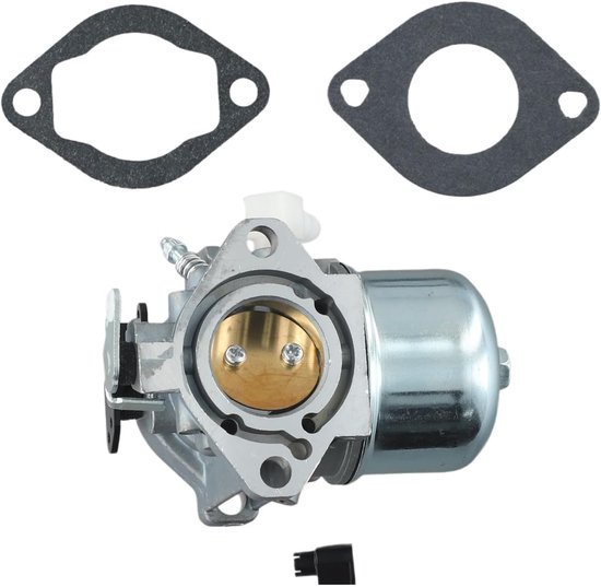 Carburateur Geschikt voor Briggs Stratton 699831 283702 694941 brandstofbesparende en acceleratiepompen van Huqiyao