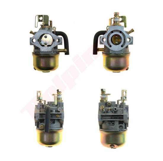 Carburateur passend op ROBIN EH12 ( 252-62404 , 252-62450 ) van Cablepro