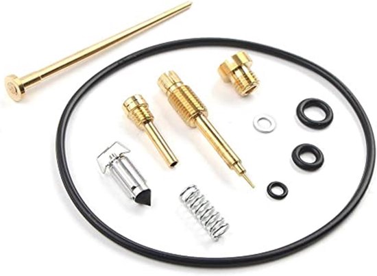 Carburateur reparatieset - Motoronderdeel - Tuingereedschap Onderhoud - Verbeterde Brandstofstroom - 1 Set - Zilverkleurig
