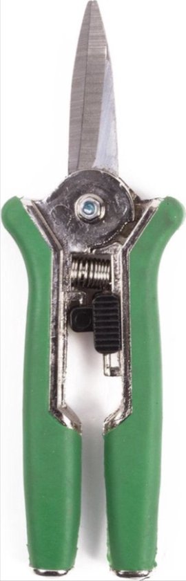 CHPN - Rechte snoeischaar - Snoeien - Snoeischaar - Tuinieren - Plantenschaar - Plantentang - Tuinschaar - Takken knippen - Groen van CHPN