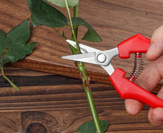 CHPN - Snoeischaar - Tuinier schaar - Schaar om te snoeien - Tuinieren - Groene vingers - Takken afknippen - Bloemen knippen - 21cm - Bloemsierkunst van CHPN