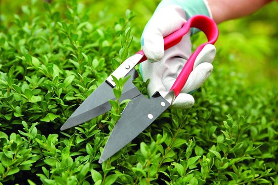 Compacte vormsnoeischaar rood 300 mm* 2550 mm* 850 mm - snoeigereedschap, tuinonderhoud van Merkloos	