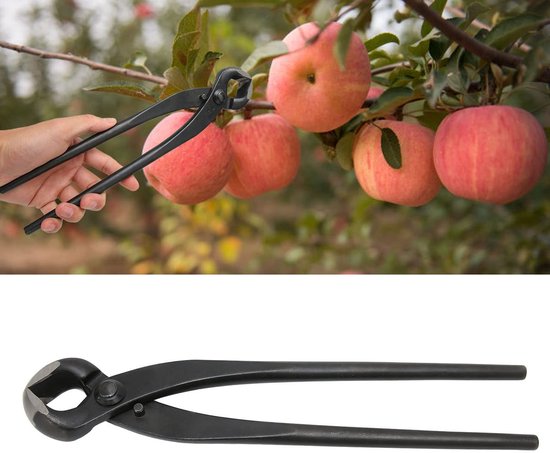 Dailygoods- Bonsaisnijder 290 mm - Professioneel Gereedschap - Ergonomische Handgreep - Concaaf Ontwerp - Duurzaam - Precisie Snijden - Snoeischaar